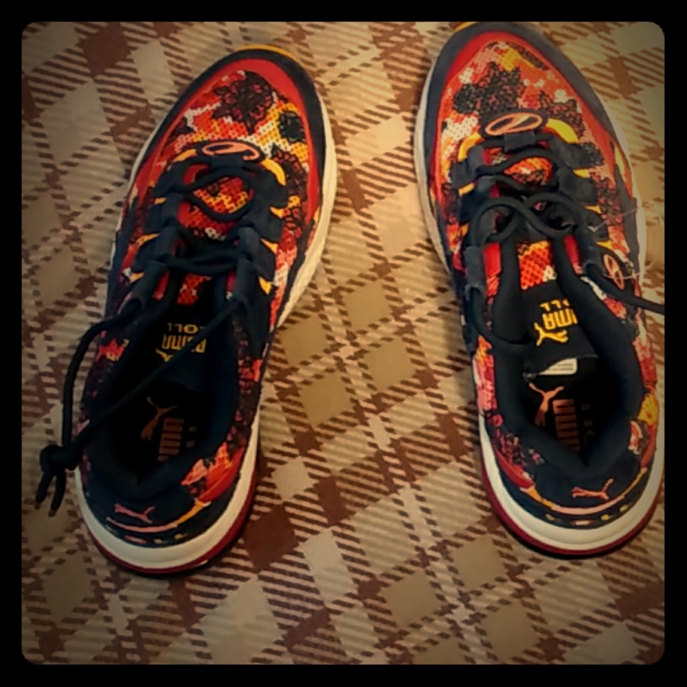 Puma cell